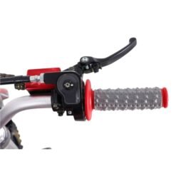 TaoMotor DBX1 140cc Dirt Bike