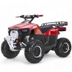 Coolster 125cc Mammoth Kids ATV Coolster 125cc Mammoth Kids ATV