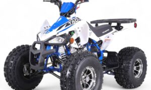 TaoMotor 125 Cheetah DLX Kids ATV