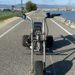 Custom Minibike Trike