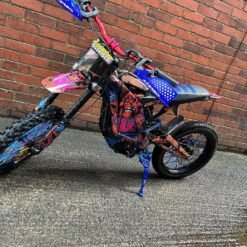 2024 SURRON LIGHT BEE X