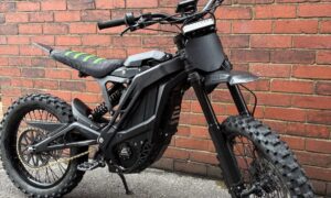 E Ride Pro 3.0 ( ultrabee killer )