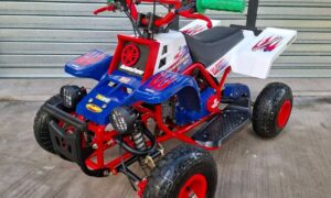 Mini Banshee ATV suspension system close-up