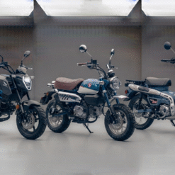 MINI BIKES