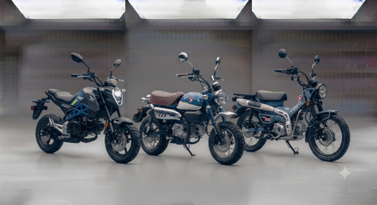 MINI BIKES